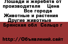 Лошади и жеребята от производителя. › Цена ­ 120 - Все города Животные и растения » Другие животные   . Брянская обл.,Сельцо г.